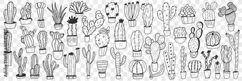 Cactus in pots doodle set. Collection of hand drawn various cactus plants in pots for home growing isolated on transparent background. Illustration of exotic mexican plants for care at home 