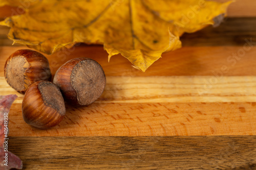 A composition of hazelnuts and golden maple leaves