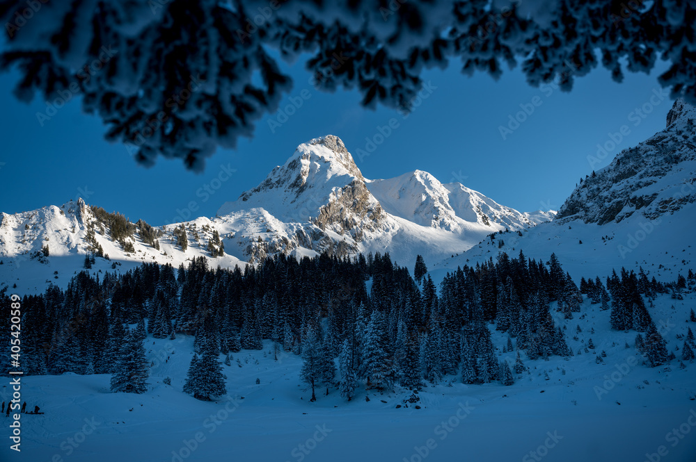 peak of Gantrisch in winter in Naturpark Gantrisch in the Bernese Alps