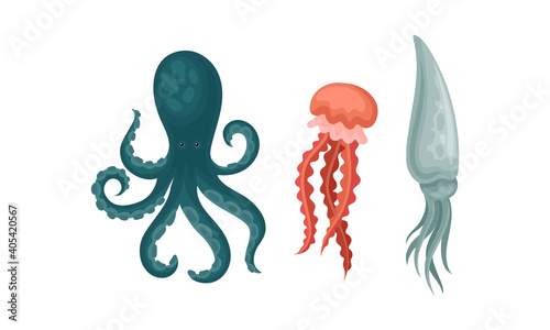 Marine Habitant with Umbrella-shaped Jellyfish and Squid Vector Set