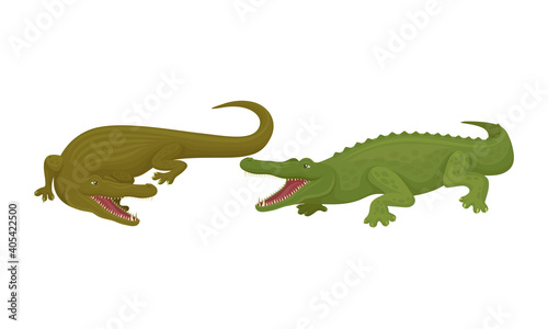 Crocodile as Green Predatory Semiaquatic Reptile Vector Set © Happypictures