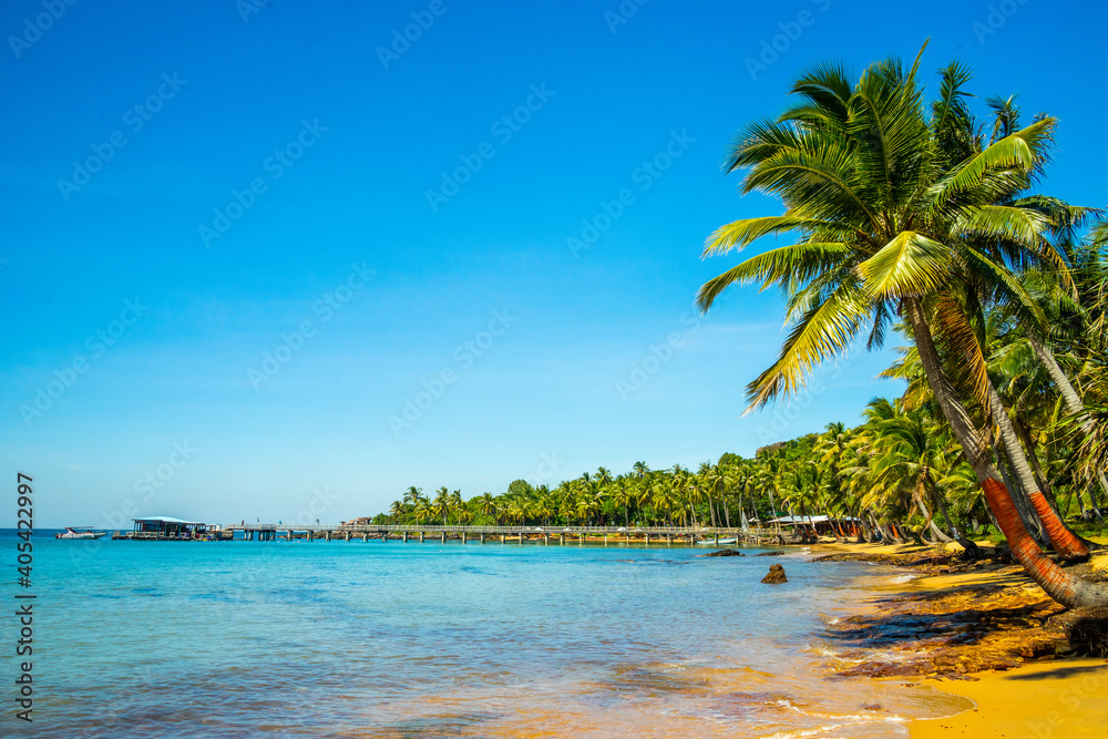 Naklejka premium Beautiful landscape of Hon Thom beach, Phu Quoc island, Vietnam, Asia with tourist, chairs and umbrella. White sand and coco palms travel tourism and swing under tree.