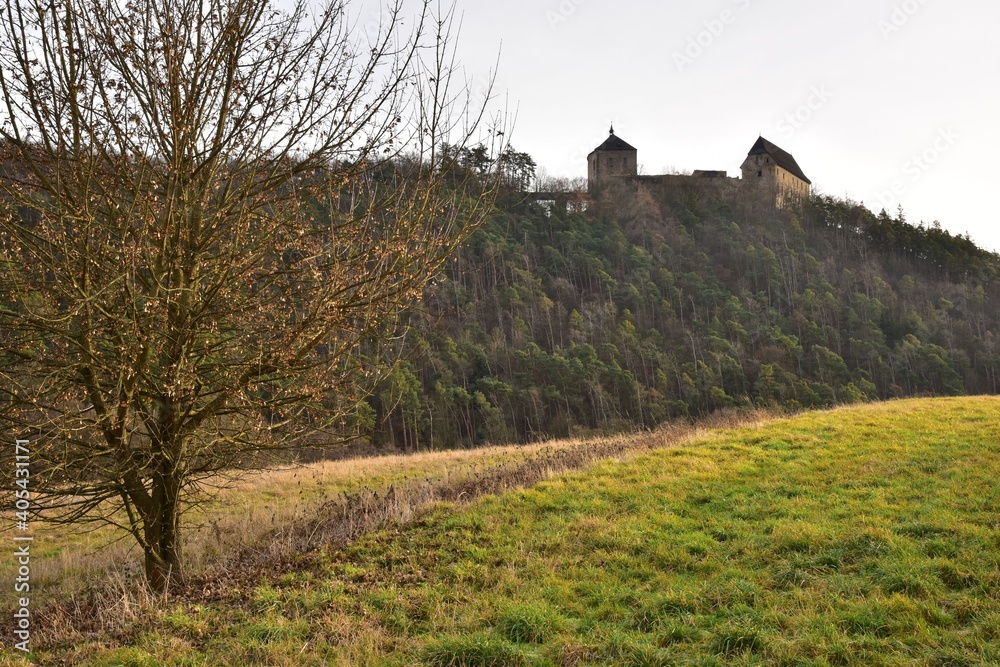 Tocnik Castle is located near the town of Zebrak in Central Bohemia, Czech Republic.