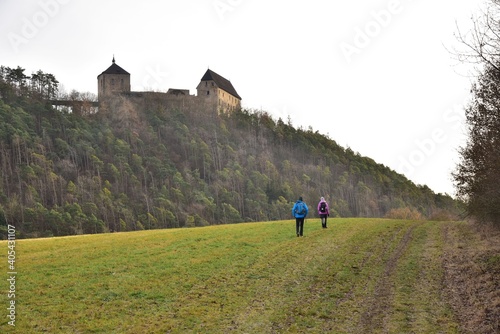 Tocnik Castle is located near the town of Zebrak in Central Bohemia, Czech Republic. photo