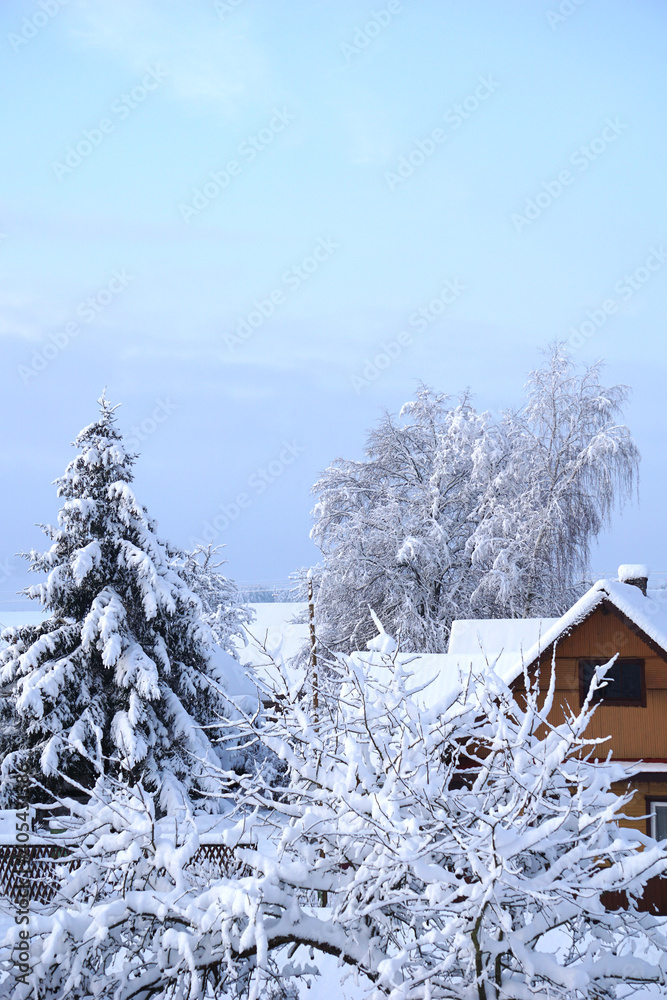 Snowy winter sky against the background of snow-covered trees and a village house   