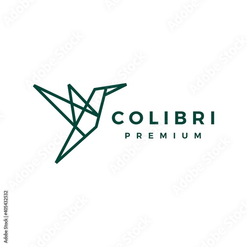geometric colibri hummingbird tech line logo vector icon illustration