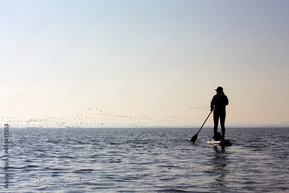 Silhouette of woman girl paddle SUP boarding at lake against flock of flying birds