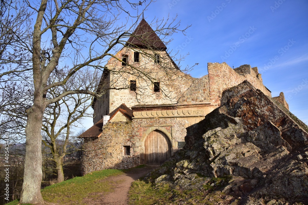 Tocnik Castle is located near the town of Zebrak in Central Bohemia, Czech Republic.