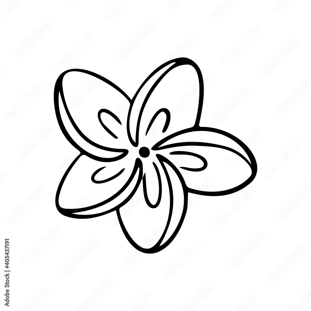 Plumeria flower outline. Frangipani line art vector illustration isolated on white background. Plumeria silhouette icon, blossom doodle and simple element.