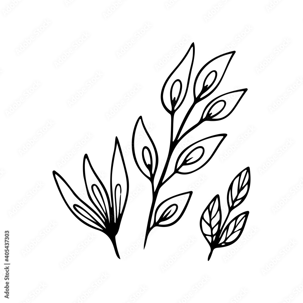 Heliconia flower outline. Strelitzia line art vector illustration isolated on white background. Strelitzia, heliconia silhouette icon, Heliconia flower outline. Strelitzia line art vector illustration isolated on white background. Strelitzia, heliconia silhouette icon,