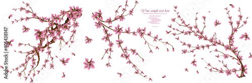 Floral watercolor elements with sakura flowers  © galinalyalina
