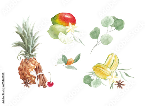 Fototapeta Naklejka Na Ścianę i Meble -  Tropical fruits set. Exotic fruits, spices and eucalyptus branches. Watercolor compositions on a white background.