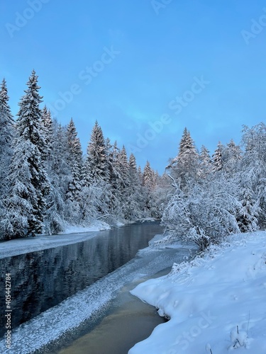 Beautiful winter landscape of the river in the forest © Yana