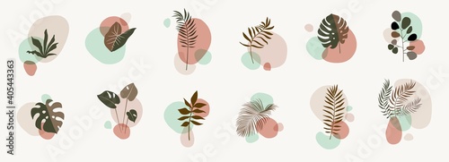 Vector abstract botanical compositions. Boho story highlites template. Fluid organic shapes, neutral colors. Bohemian exotic leaves. Mid Century Modern foliage design. Twigs illustration