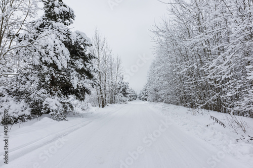 natural background with winter landscape with snow road in the forest