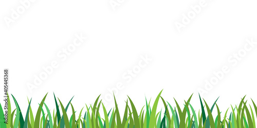 Green grass isolated background vector.Grass border frame decoration.Flat garden field