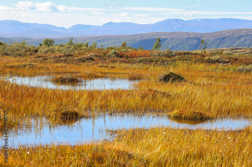 Forollhogna national park, Norway