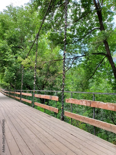 path in the forest