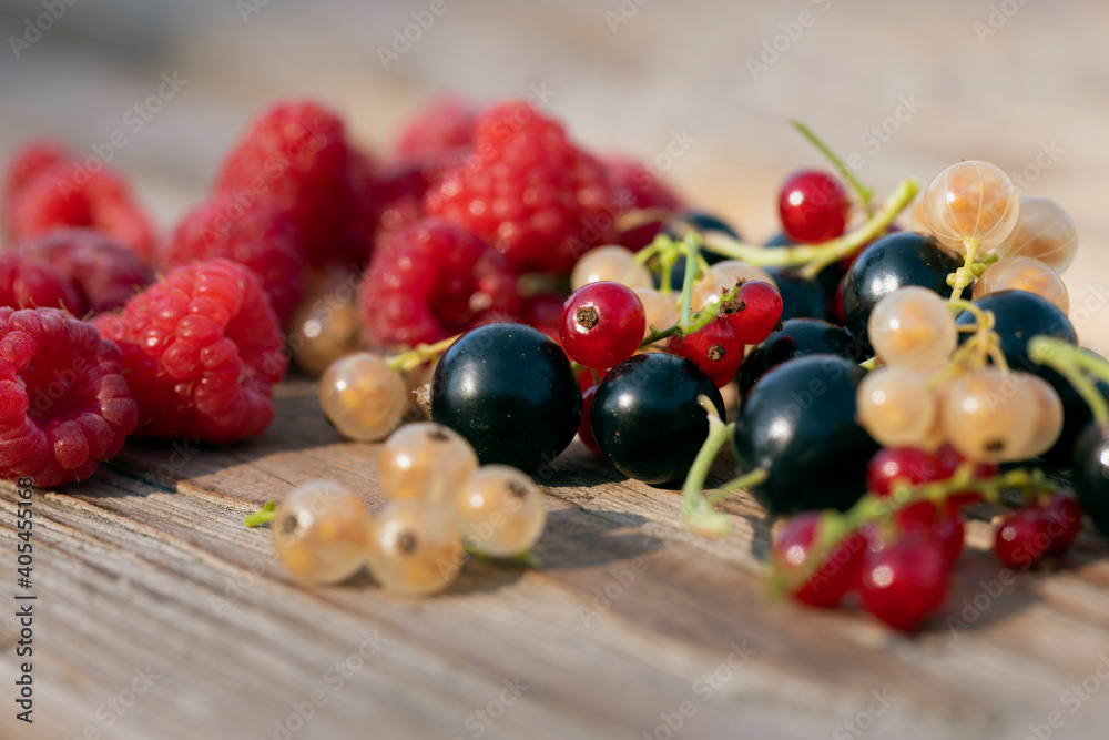 Ripe organic berry in bowl. Fresh assorted berries harvest from berry farm on wooden table