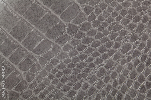 Fototapete Gray crocodile skin texture as a background.
