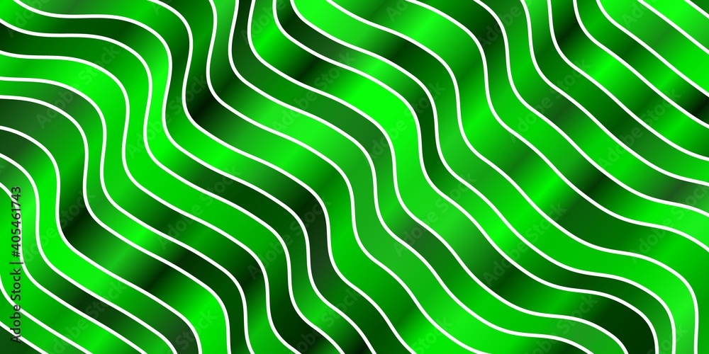 Light Green vector background with curves.