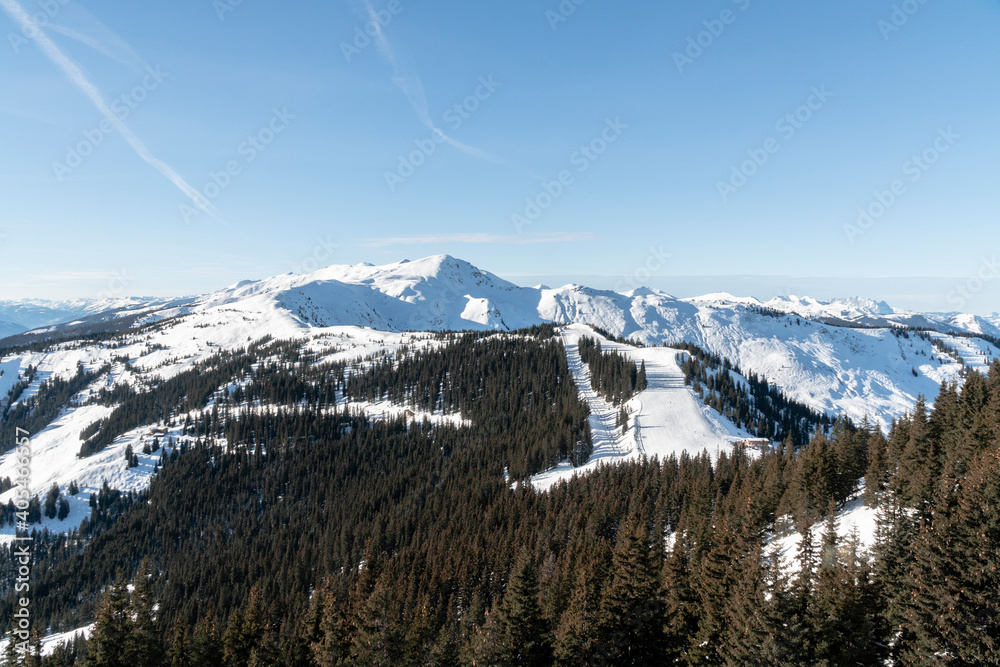 Snowy mountain tops and alpine trees