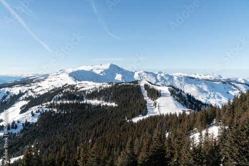 Snowy mountain tops and alpine trees