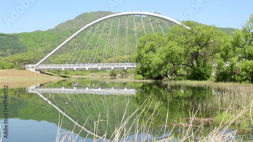 Beautiful water garden scenery with green leaves reflected in the water in spring