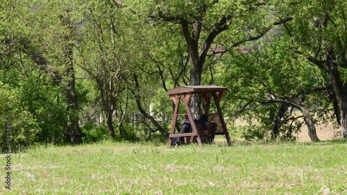 People riding on a swing in the beautiful water garden in spring
