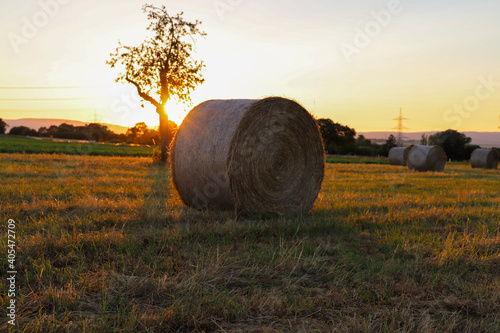bale of hay
