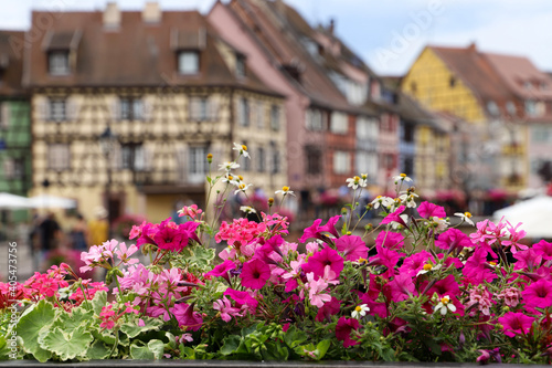 view of the town of ghent country