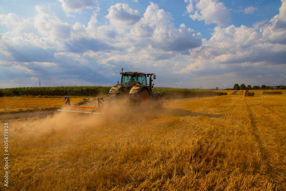 Fototapeta premium combine harvester working in a field