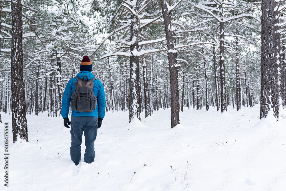 Back view of a man with a backpack in a snowy pine forest. Winter walks. 