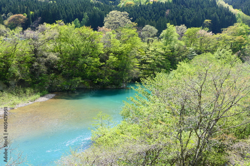 新緑の矢櫃ダム。一関、岩手、日本。５月上旬。