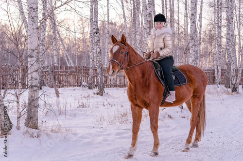 Beautiful caucasian woman with a horse on nature in winter on snow. Space for text.