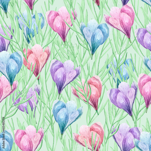 Spring blooming of crocuses on the field. For decoration of postcards  print  design works  souvenirs  design of fabrics and textiles  packaging design  invitation  wrapping  packaging  print 