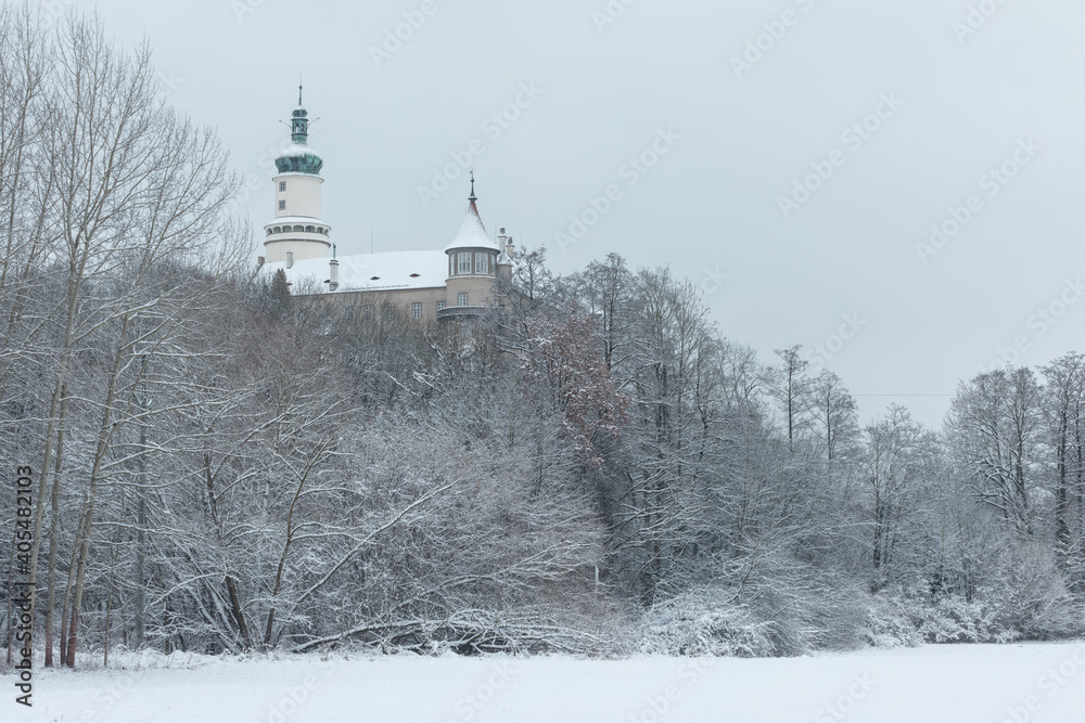 Winter view at Nove Mesto nad Metuji, near Hradec Kralove, Czech republic
Panorama of the city with the castle on the top of the hill, frozen trees. The centre is as Urban monument reservation. 