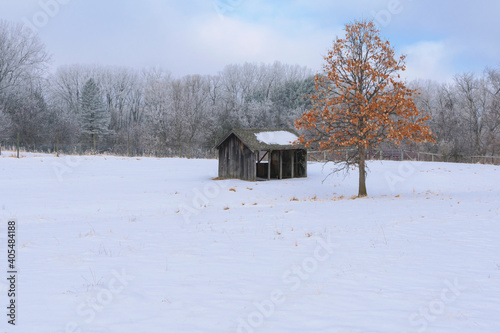 snow covered paddock and shed © Ferrer Photography