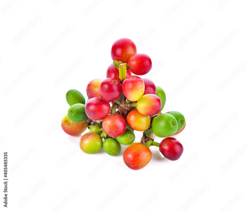 Red coffee beans, ripe and unripe berries isolated on white background