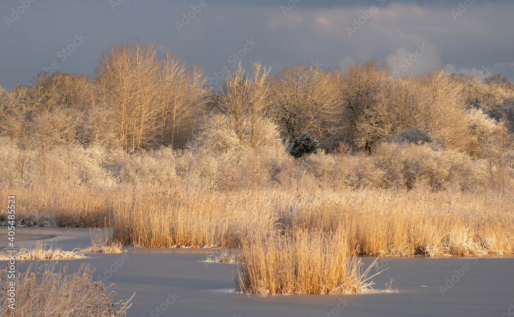 A winter day in Ågesta nature reserve in Stockholm / Huddinge.