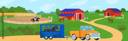 Horses at horse farm country summer rural landscape vector illustration. Ranch field with fence, meadow and horses. Farmland. Horseman on racehorse and truck for moving animals.
