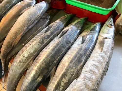 A bunch of mackerel fresh fish. Mackarel fresh on ice to maintain freshness of the food. Purchased in traditional local market. Fish for cooking

