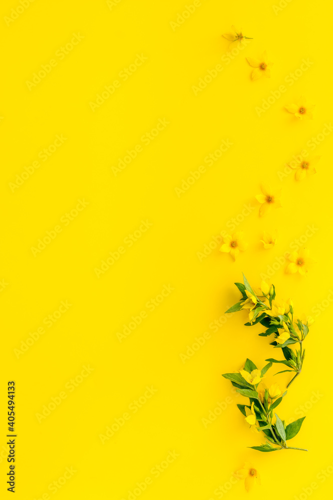 Floral background of yellow flowers with leaves, overhead view