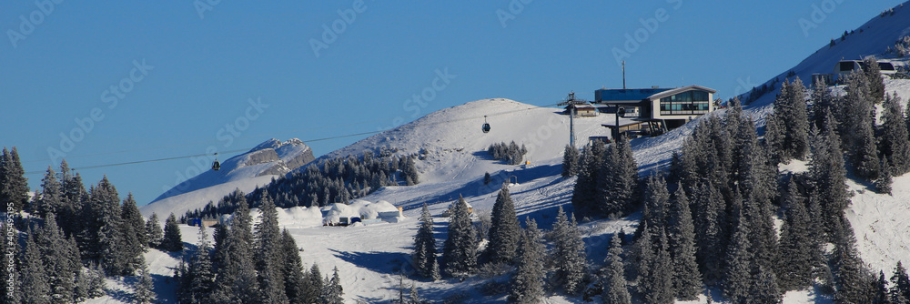 Saanersloch cable car and pine forest in winter.