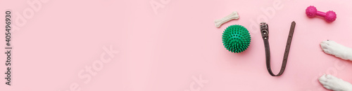 Pet care and animals concept. Dog paws toys and accessories for playing and training isolated on pink pastel background. Simple flat lay with ball bone clicker and collar. Top view copy space, banner photo