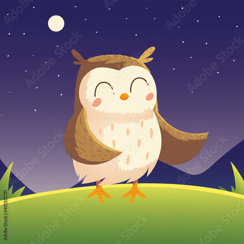 cute owl bird cartoon animal in the grass night sky