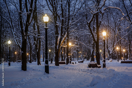 Winter park in the evening covered with snow with a included street lamps.
