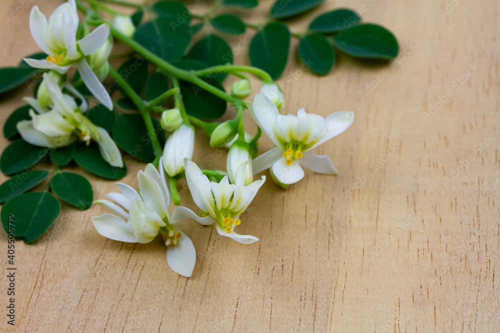 Moringa oleifera flower and green leaf isolated on wooden background.