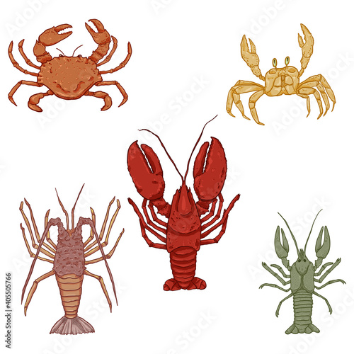 Vector Set of Cartoon Sea Animals. Omar, Lobster and Crab.