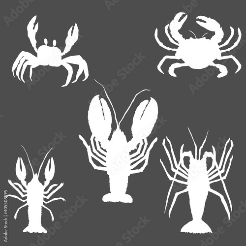 Vector Set of Sea Animals Silhouettes . Omar, Lobster and Crab.